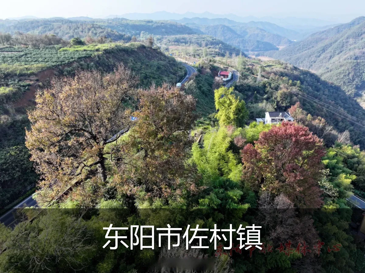 东阳市佐村镇