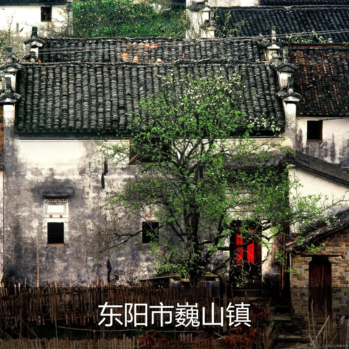 东阳市巍山镇