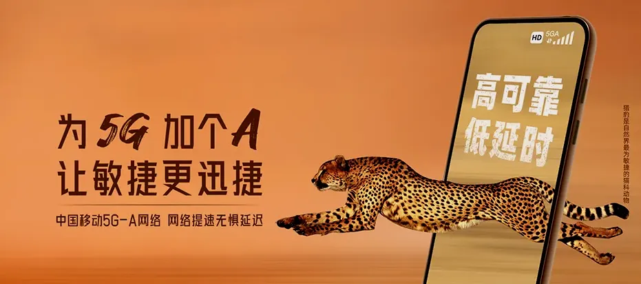 东阳市东阳市东阳江镇 移动宽带