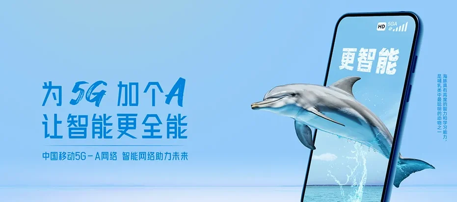 东阳市东阳市白云街道 移动宽带